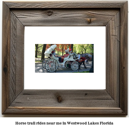 horse trail rides near me in Westwood Lakes, Florida